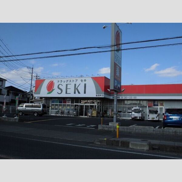 現地周辺 (SEKI)