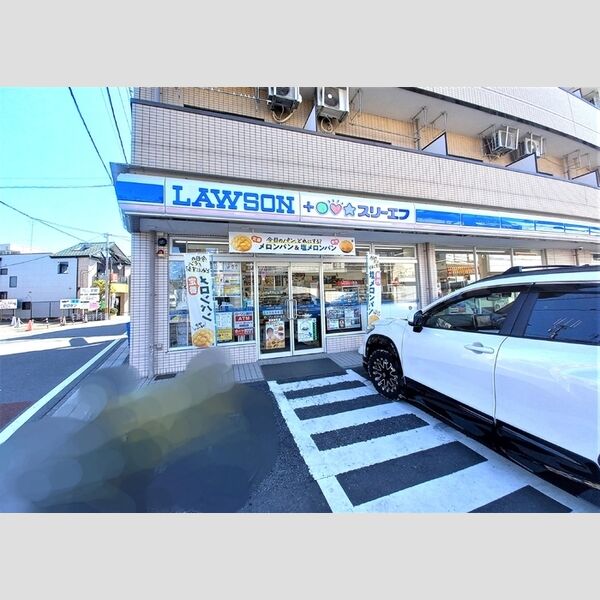 現地周辺 (ローソン・スリーエフ岩槻仲町店 397m)