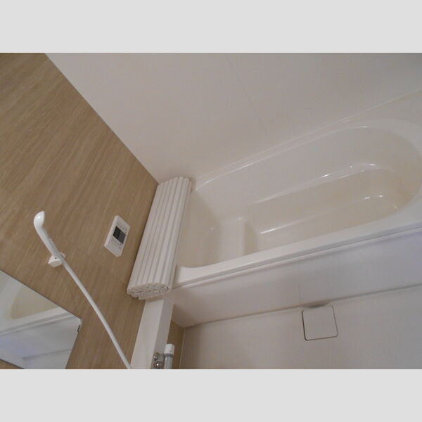 バス (一坪風呂)