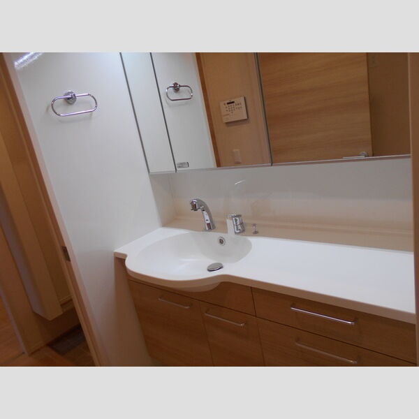 洗面所 (洗髪洗面化粧台)