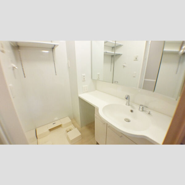 洗面所 (三面鏡付き洗髪洗面化粧台)