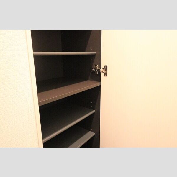 玄関 (シューズボックス)