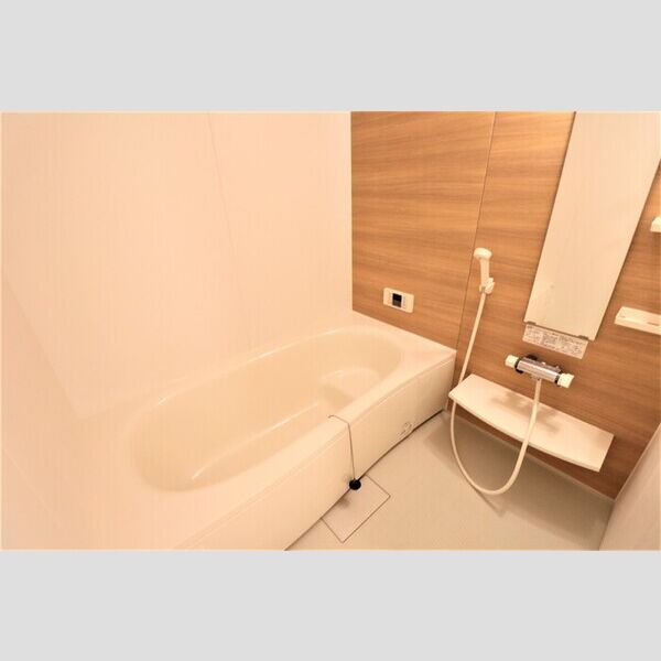 バス (一坪風呂)