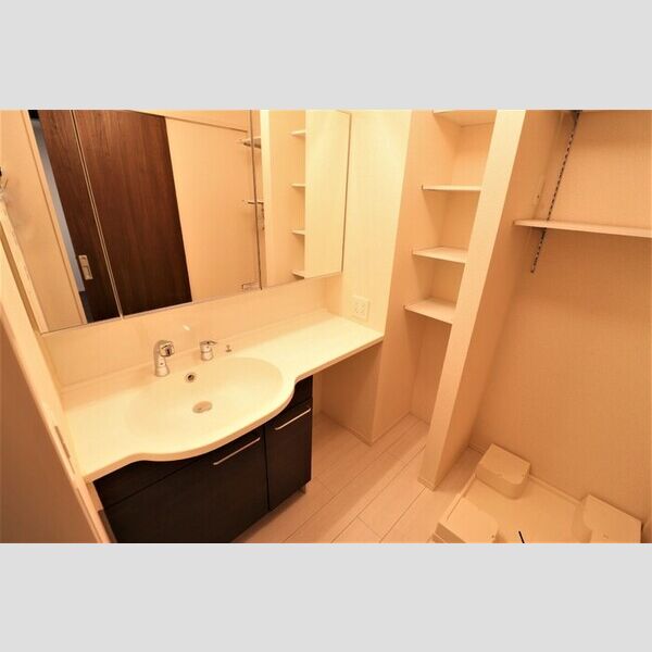 洗面所 (洗髪洗面化粧台)