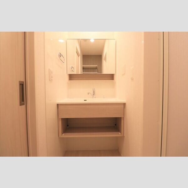 洗面所 (洗髪洗面化粧台)