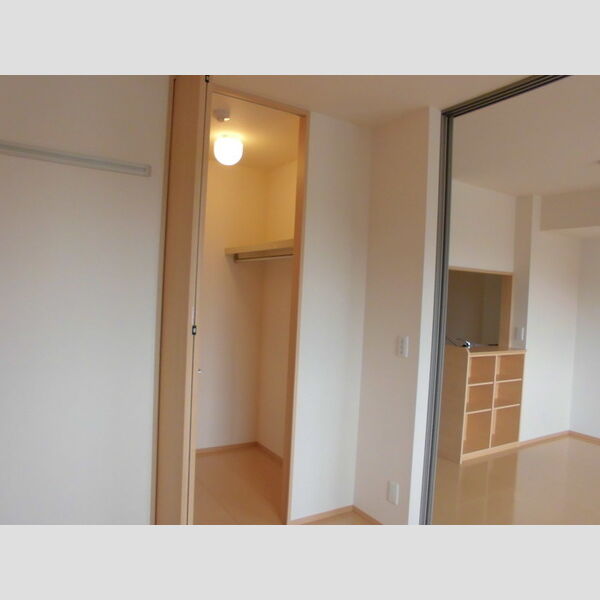 収納 (ウォークインクローゼット)