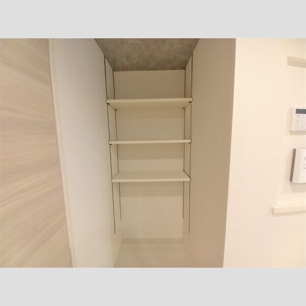 その他 (キッチン横収納)