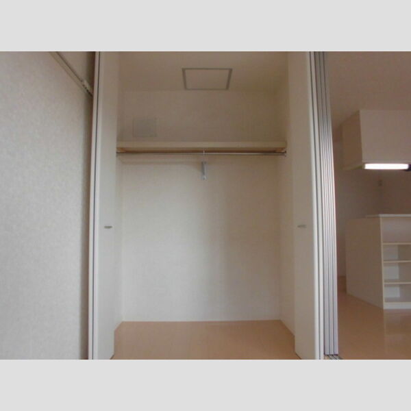 収納 (クローゼット)
