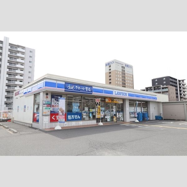 現地周辺 (ローソン三郷谷中店(475m))