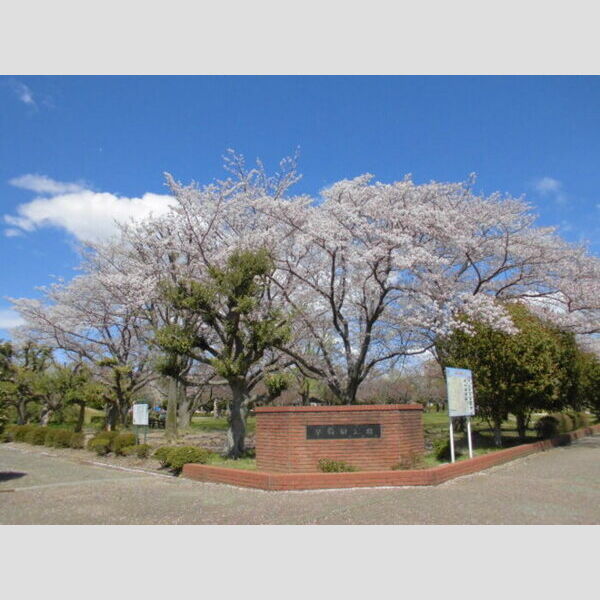 現地周辺 (早稲田公園(7m))