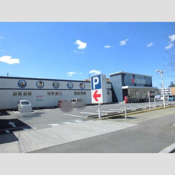 現地周辺 (ドラッグストア(178m))