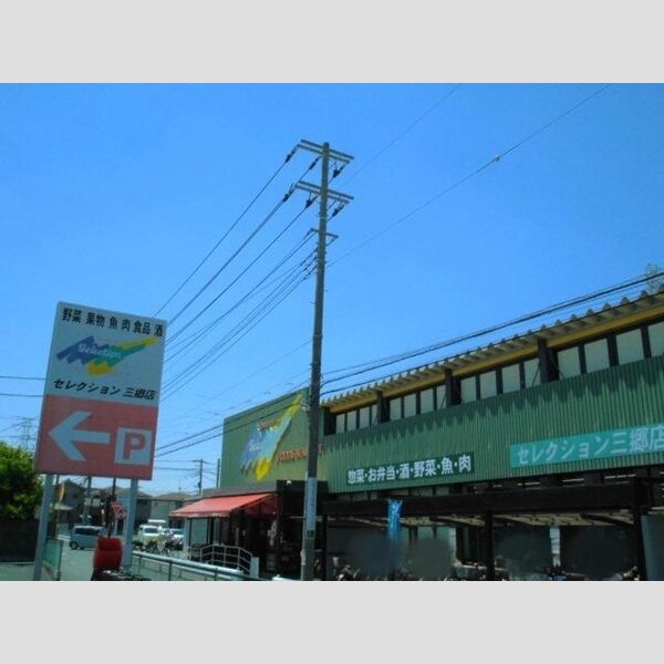 現地周辺 (FOODS MARKET Selection 三郷店(702m))
