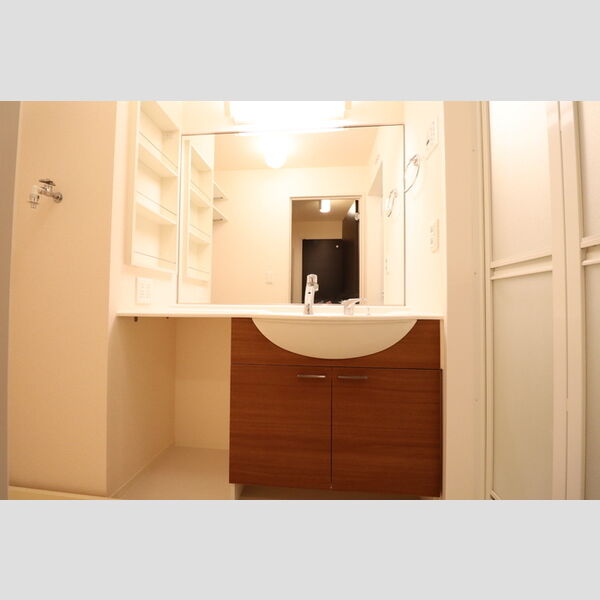 洗面所 (洗髪洗面化粧台)
