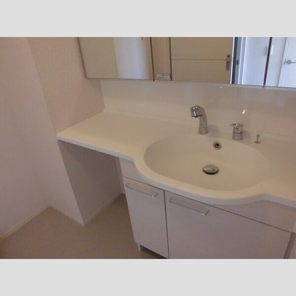 洗面所 (洗髪洗面化粧台)