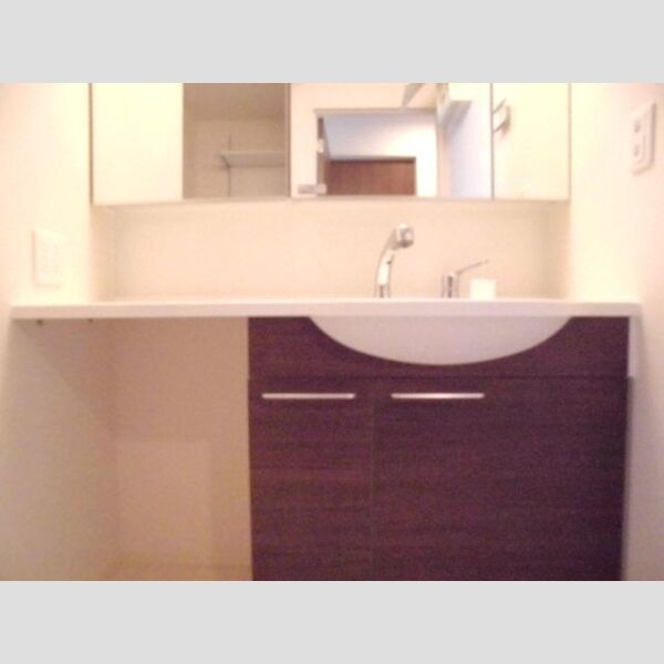 洗面所 (洗髪洗面化粧台)