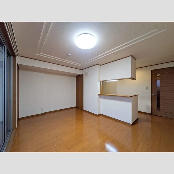 居室・リビング (LDK)