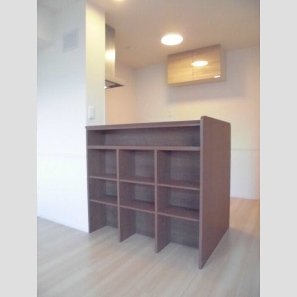 その他 (カウンター下収納)