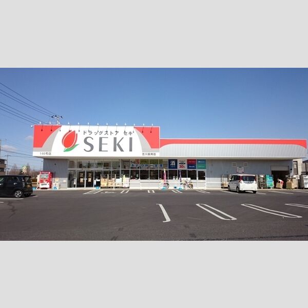 現地周辺 (ドラッグストア)