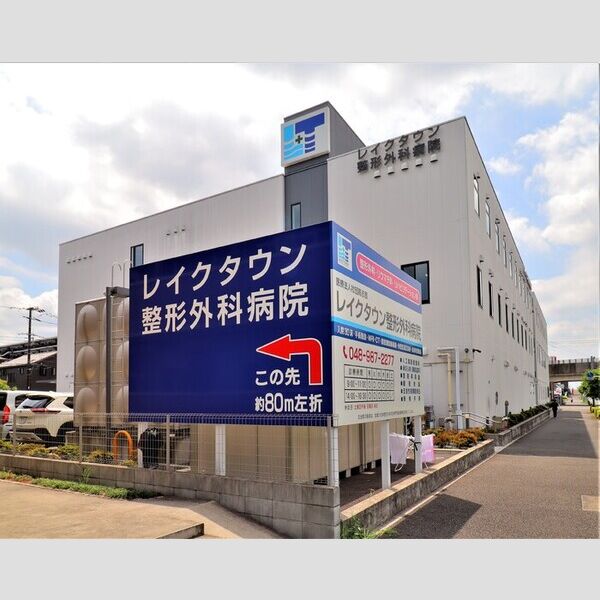 現地周辺 (レイクタウン整形外科500m)