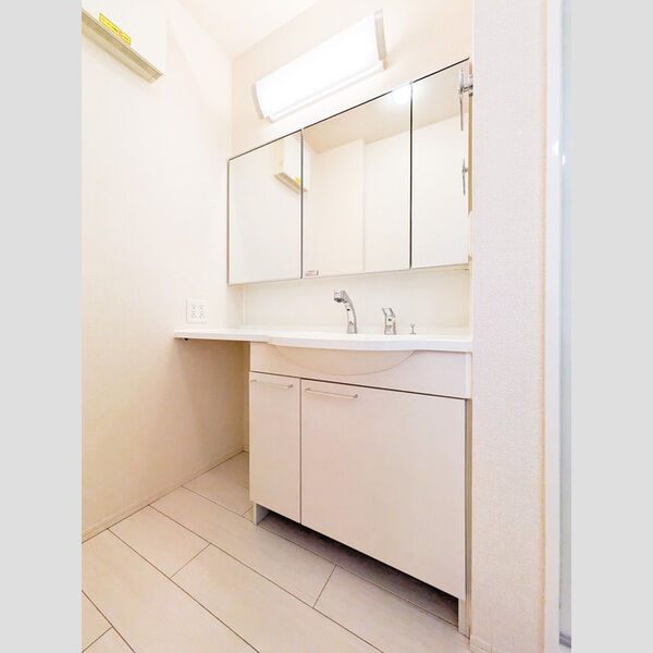 洗面所 (洗髪洗面化粧台)