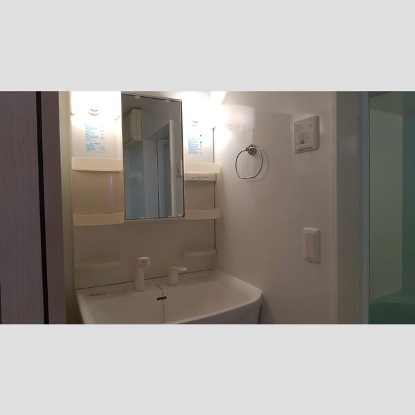 洗面所 (洗髪洗面化粧台)