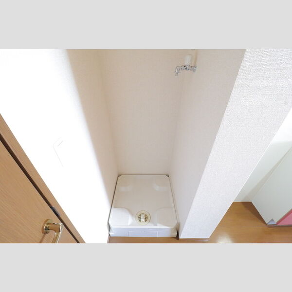 その他 (室内洗濯機置場)