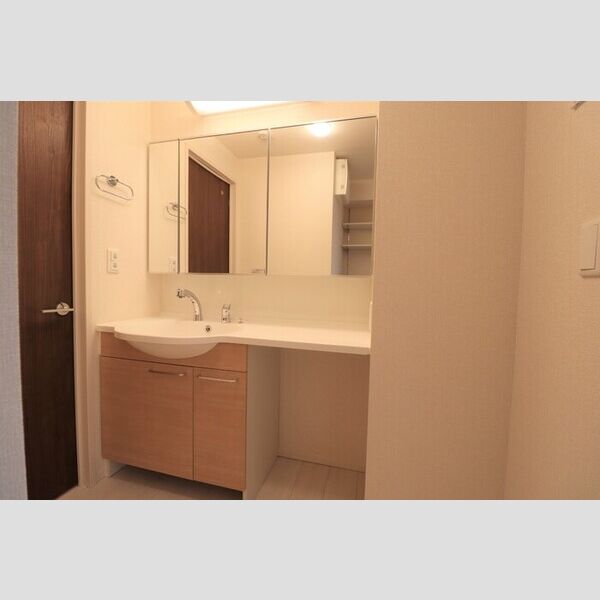 洗面所 (洗髪洗面化粧台)