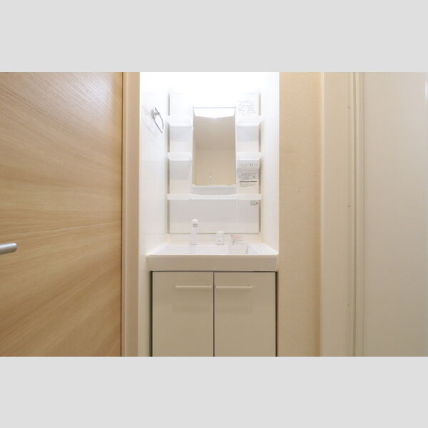 洗面所 (洗髪洗面化粧台)