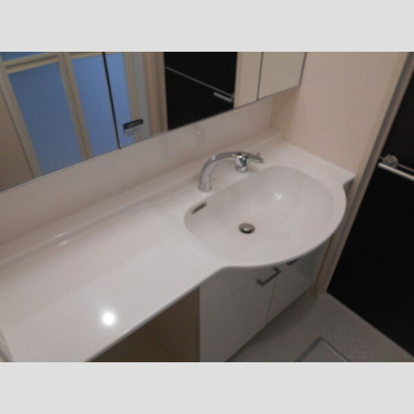 洗面所 (洗髪洗面化粧台)