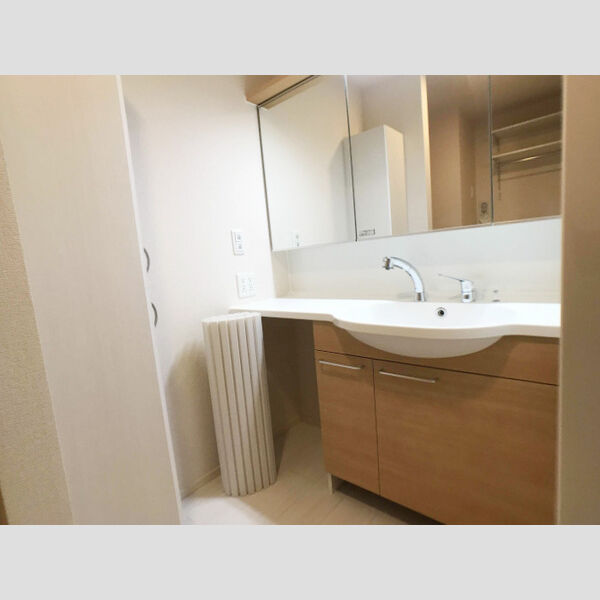 洗面所 (洗髪洗面化粧台)