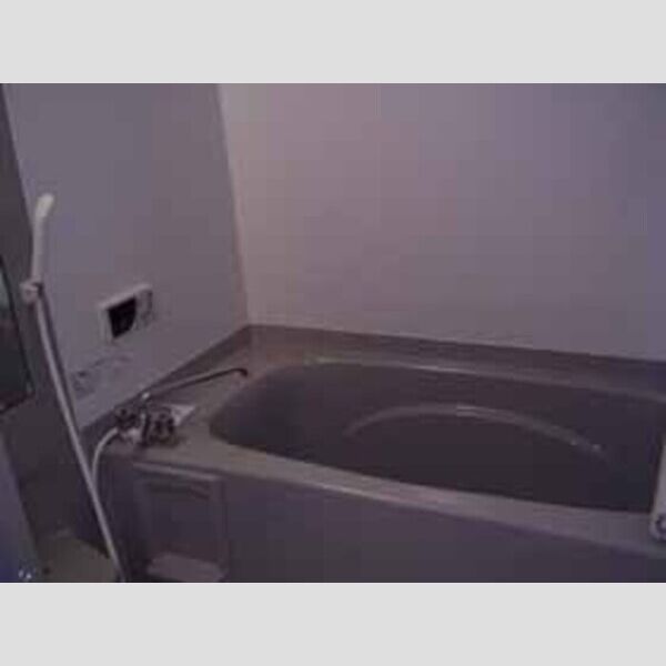 バス (一坪風呂)