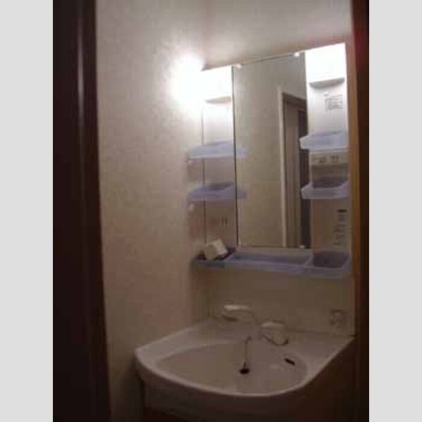 洗面所 (洗髪洗面化粧台)