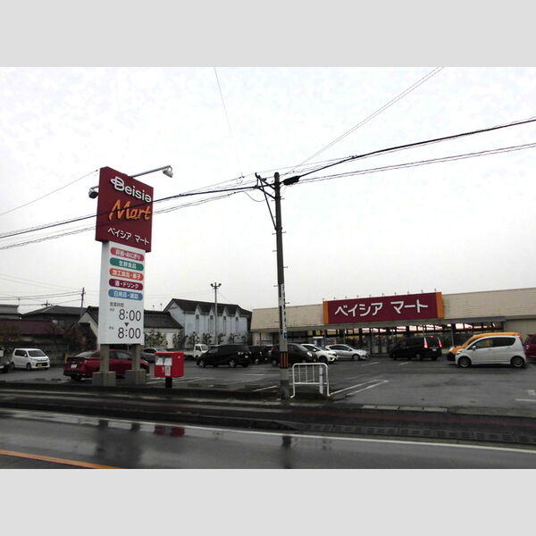 現地周辺 (ベイシアマート倉賀野店)