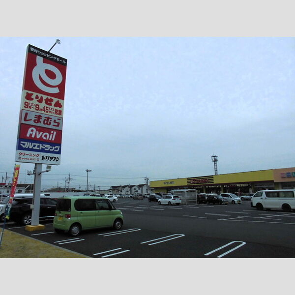 現地周辺 (とりせん菅谷店)