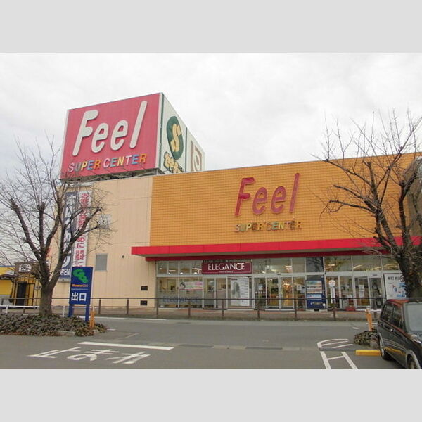 現地周辺 (とりせんフィール藤岡店)