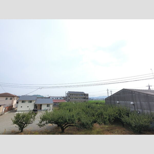現地周辺 (ベランダからの眺望です。)