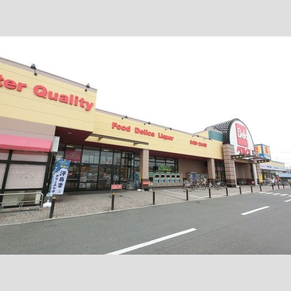 現地周辺 (ベルク高崎日光店(573m))
