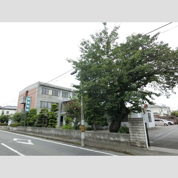 現地周辺 (医療法人井草病院(267m))