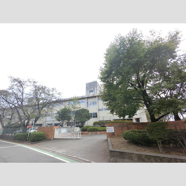 現地周辺 (高崎市立堤ヶ岡小学校(793m))