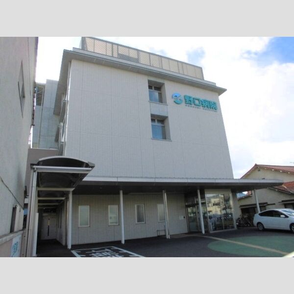 現地周辺 (医療法人仁和会野口病院(1101m))