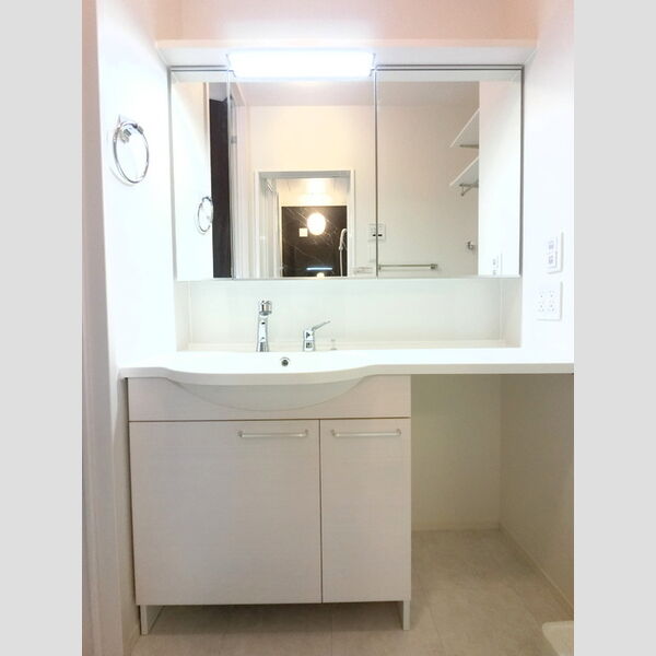 洗面所 (三面鏡付き洗面化粧台)