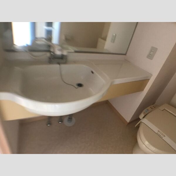 洗面所 (三面鏡付きカウンター洗面化粧台)