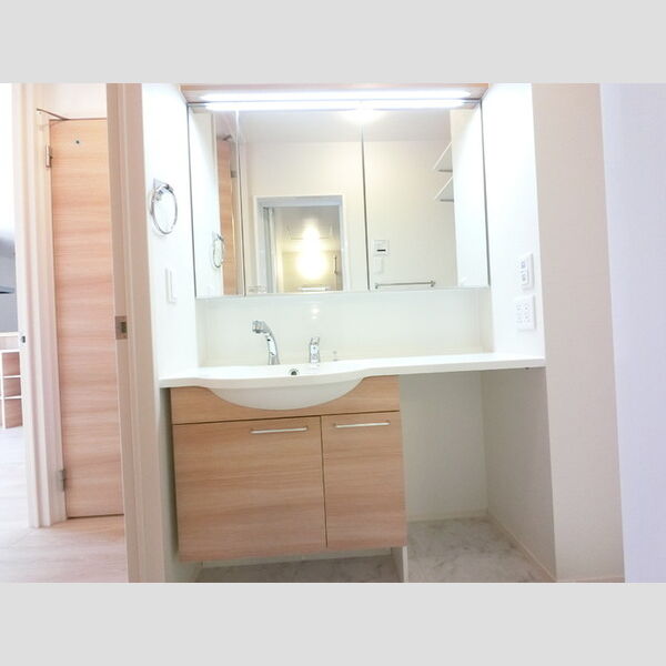 洗面所 (三面鏡付きカウンター洗面化粧台)