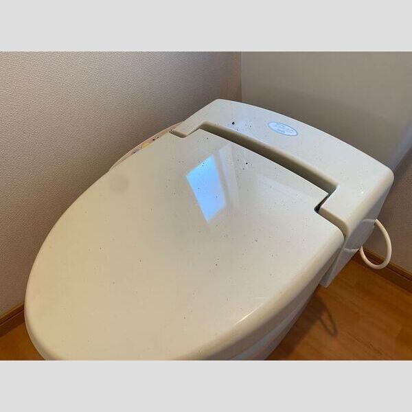トイレ (温水洗浄便座付きトイレです。)