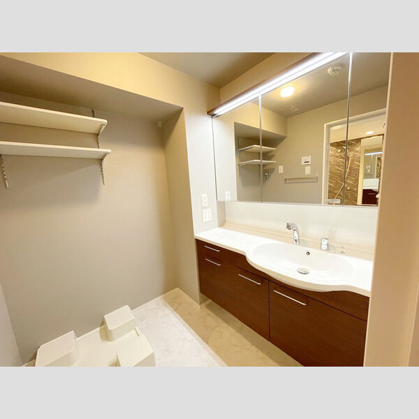 洗面所 (三面鏡付きカウンター洗面化粧台)