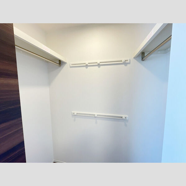 収納 (ウォークインクローゼット)