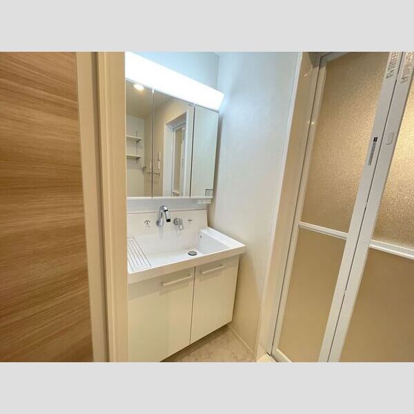 洗面所 (三面鏡付き洗面化粧台)