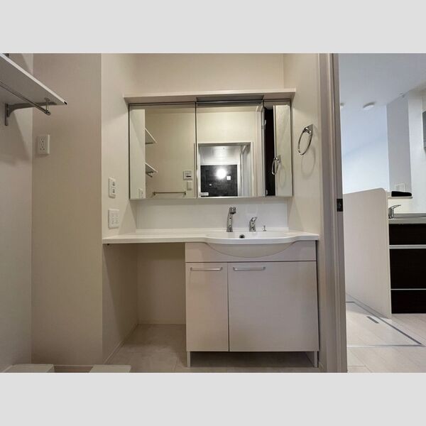 洗面所 (三面鏡付きカウンター洗面化粧台)