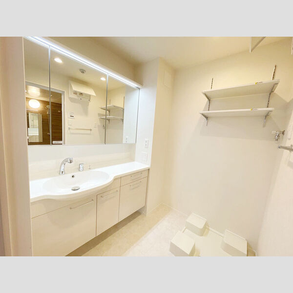 洗面所 (三面鏡付きカウンター洗面化粧台)