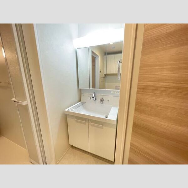 洗面所 (三面鏡付き洗面化粧台)